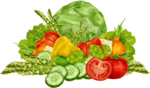 25% Special Off Today Only for Vegetables